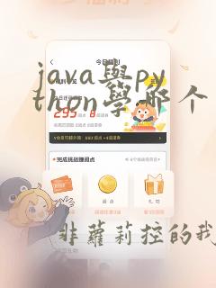 java与python学哪个有前途