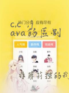 c,c ,java的区别