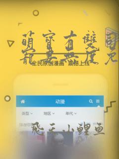 萌宝有双司先生宠妻无度免费阅读