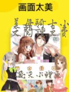 美母骑士小说全文阅读免费阅读无弹窗