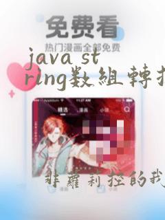 java string数组转换成string