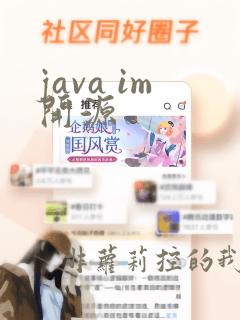 java im开源