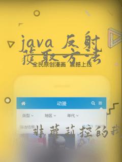 java 反射获取方法