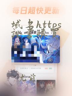 域名https证书购买