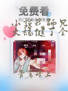 小说我师兄实在太稳健了全本阅读