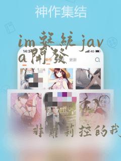 im系统java开发