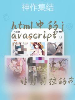 html中的javascript