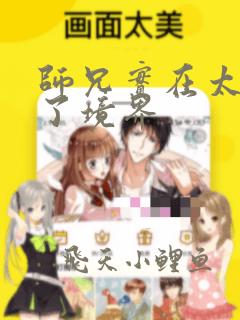 师兄实在太稳健了境界