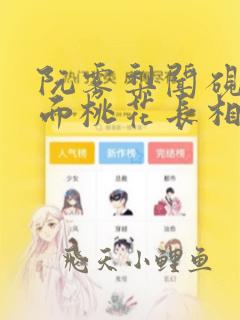 阮雾梨闻砚辞人面桃花长相忆全本阅读