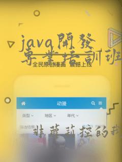 java开发 专业培训班