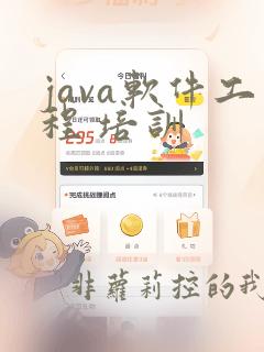 java软件工程 培训
