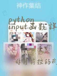 python input函数详解