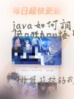 java如何调用python接口