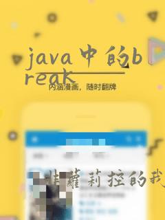 java中的break