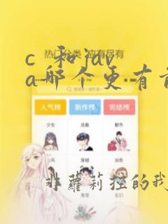 c  和java哪个更有前途