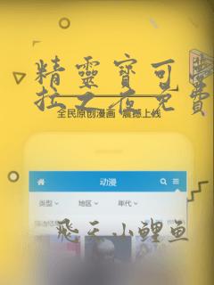 精灵宝可梦阿罗拉之夜免费阅读