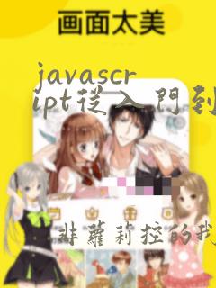 javascript从入门到精通 pdf