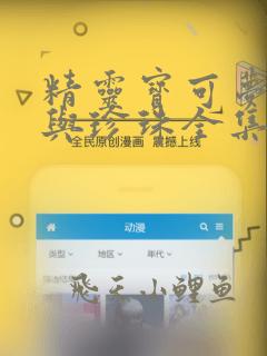 精灵宝可梦钻石与珍珠全集