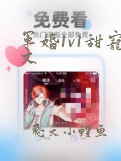 军婚1v1甜宠文