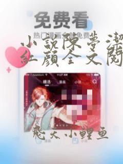 小说陈梦洁迷途红颜全文阅读下载