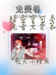 精灵宝可梦在线观看免费第二季