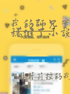 我的师兄实在太稳健了小说笔趣阁