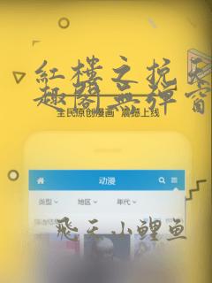 红楼之挽天倾笔趣阁无弹窗免费阅读
