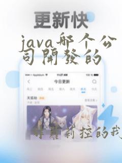 java哪个公司开发的