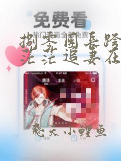 捌零团长跨星河茫茫追妻在线全文免费阅读