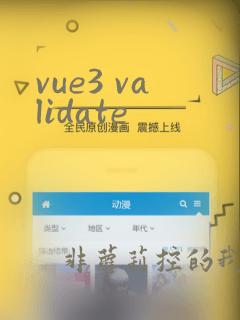 vue3 validate