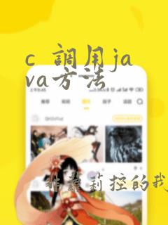 c  调用java方法
