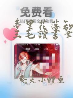 梦里花落知多少三毛读书笔记
