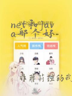 net和java哪个好