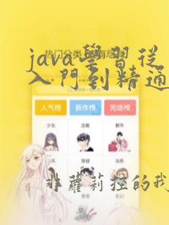 java学习从入门到精通了
