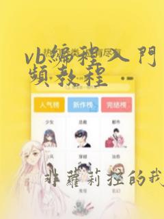vb编程入门视频教程