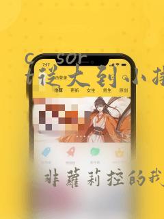 c   sort从大到小排序