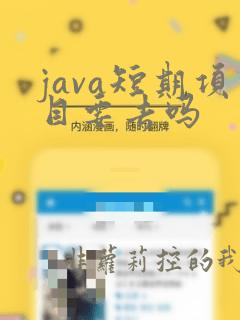 java短期项目要去吗