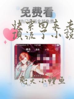 快穿回来老婆成顶流了小说全文免费阅读