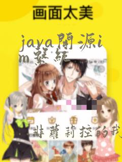 java开源im系统