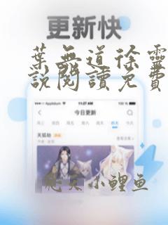 叶无道徐灵儿小说阅读免费第二