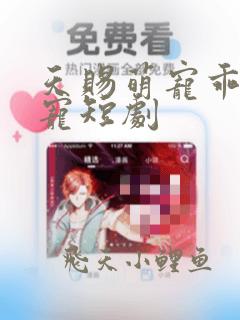 天赐萌宠乖乖受宠短剧