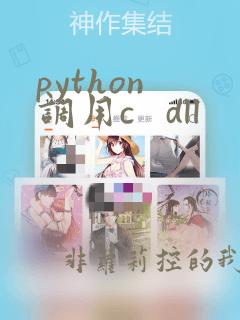 python 调用c   dll