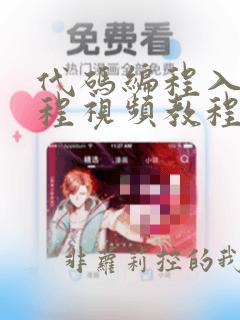 代码编程入门教程视频教程