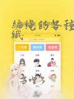 编绳的各种结编织