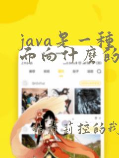 java是一种面向什么的程序设计语言