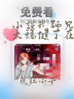 小说我师兄实在太稳健了在线阅读全文