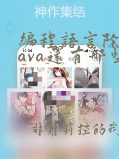 编程语言除了java还有哪些