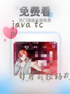 java tcp