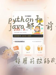 python和java那个前景好