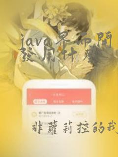java界面开发用什么